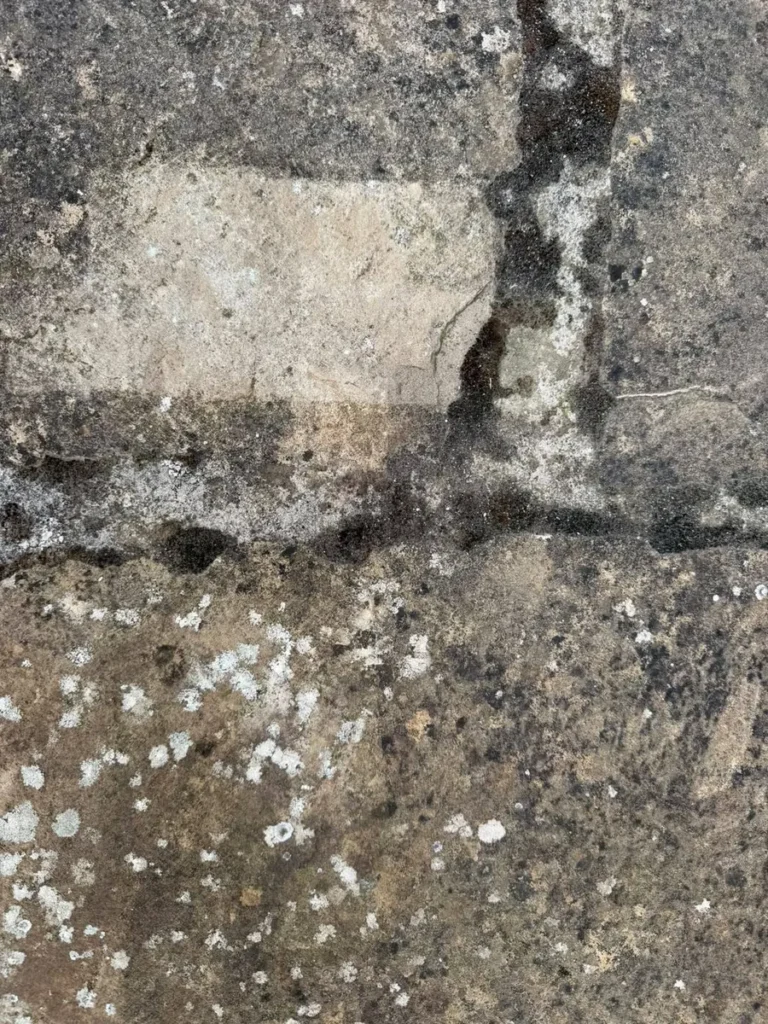 Piedra con líquenes y biofilm con una zona ya limpiada con láser por Garbinavar