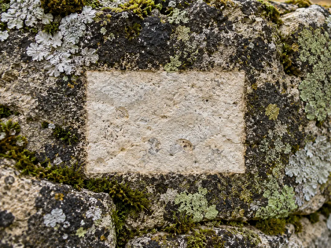 Piedra caliza cubierta de líquenes y costra negra con una zona limpia que muestra la piedra original